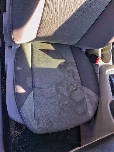 2013-Ford-Focus-seat-4-before (1)