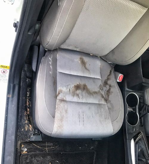 autodetaildmv stain removal before autodetaildmv stain removal before
